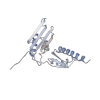 13680_7pwf_D_v1-0
Cryo-EM structure of small subunit of Giardia lamblia ribosome at 2.9 A resolution