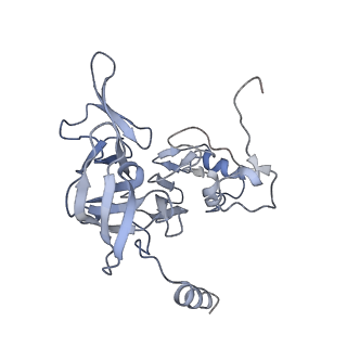 13680_7pwf_E_v1-0
Cryo-EM structure of small subunit of Giardia lamblia ribosome at 2.9 A resolution