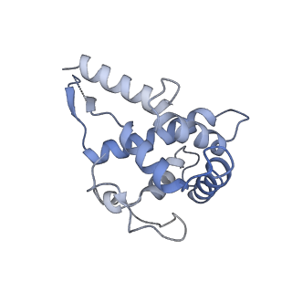 13680_7pwf_F_v1-0
Cryo-EM structure of small subunit of Giardia lamblia ribosome at 2.9 A resolution
