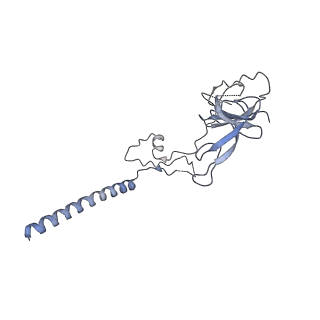 13680_7pwf_G_v1-0
Cryo-EM structure of small subunit of Giardia lamblia ribosome at 2.9 A resolution
