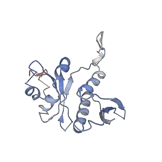 13680_7pwf_H_v1-0
Cryo-EM structure of small subunit of Giardia lamblia ribosome at 2.9 A resolution