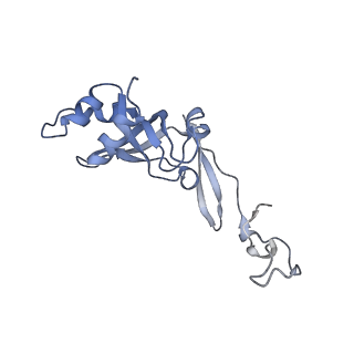 13680_7pwf_I_v1-0
Cryo-EM structure of small subunit of Giardia lamblia ribosome at 2.9 A resolution