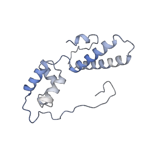 13680_7pwf_N_v1-0
Cryo-EM structure of small subunit of Giardia lamblia ribosome at 2.9 A resolution