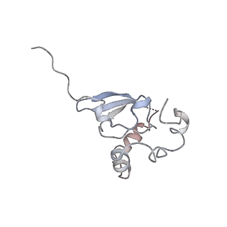 13680_7pwf_P_v1-0
Cryo-EM structure of small subunit of Giardia lamblia ribosome at 2.9 A resolution