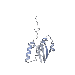 13680_7pwf_Q_v1-0
Cryo-EM structure of small subunit of Giardia lamblia ribosome at 2.9 A resolution