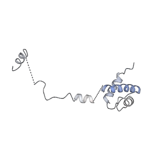 13680_7pwf_R_v1-0
Cryo-EM structure of small subunit of Giardia lamblia ribosome at 2.9 A resolution