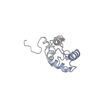 13680_7pwf_S_v1-0
Cryo-EM structure of small subunit of Giardia lamblia ribosome at 2.9 A resolution
