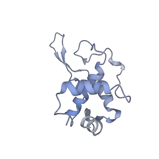 13680_7pwf_T_v1-0
Cryo-EM structure of small subunit of Giardia lamblia ribosome at 2.9 A resolution