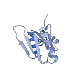 13680_7pwf_W_v1-0
Cryo-EM structure of small subunit of Giardia lamblia ribosome at 2.9 A resolution