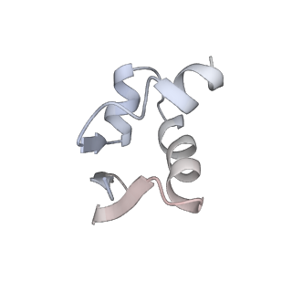 13680_7pwf_Z_v1-0
Cryo-EM structure of small subunit of Giardia lamblia ribosome at 2.9 A resolution