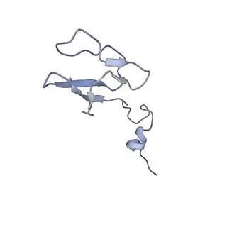 13680_7pwf_b_v1-0
Cryo-EM structure of small subunit of Giardia lamblia ribosome at 2.9 A resolution