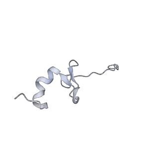 13680_7pwf_d_v1-0
Cryo-EM structure of small subunit of Giardia lamblia ribosome at 2.9 A resolution
