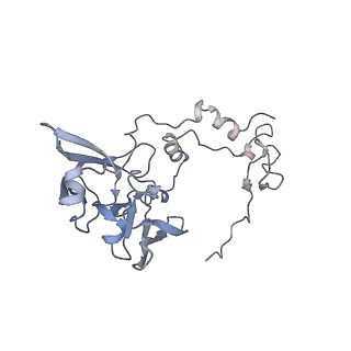13681_7pwg_A_v1-0
Cryo-EM structure of large subunit of Giardia lamblia ribosome at 2.7 A resolution