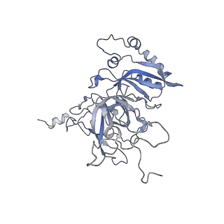 13681_7pwg_B_v1-0
Cryo-EM structure of large subunit of Giardia lamblia ribosome at 2.7 A resolution
