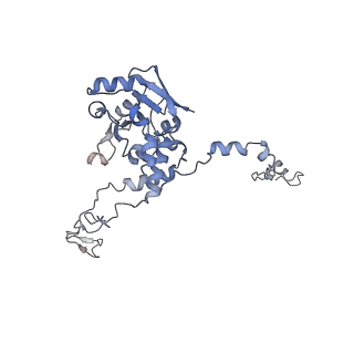 13681_7pwg_C_v1-0
Cryo-EM structure of large subunit of Giardia lamblia ribosome at 2.7 A resolution