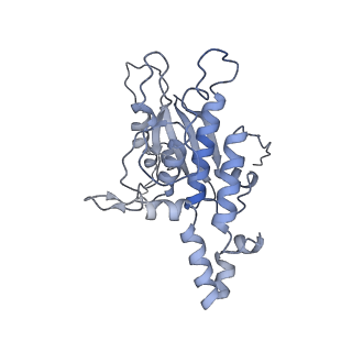13681_7pwg_D_v1-0
Cryo-EM structure of large subunit of Giardia lamblia ribosome at 2.7 A resolution