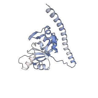 13681_7pwg_F_v1-0
Cryo-EM structure of large subunit of Giardia lamblia ribosome at 2.7 A resolution