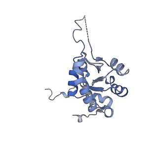 13681_7pwg_G_v1-0
Cryo-EM structure of large subunit of Giardia lamblia ribosome at 2.7 A resolution