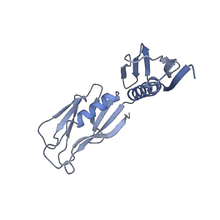 13681_7pwg_H_v1-0
Cryo-EM structure of large subunit of Giardia lamblia ribosome at 2.7 A resolution