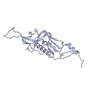 13681_7pwg_I_v1-0
Cryo-EM structure of large subunit of Giardia lamblia ribosome at 2.7 A resolution