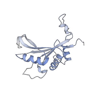 13681_7pwg_J_v1-0
Cryo-EM structure of large subunit of Giardia lamblia ribosome at 2.7 A resolution