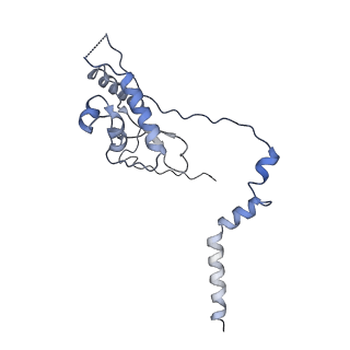 13681_7pwg_L_v1-0
Cryo-EM structure of large subunit of Giardia lamblia ribosome at 2.7 A resolution