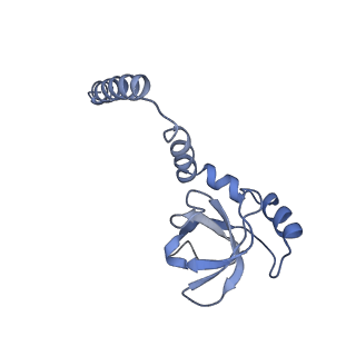 13681_7pwg_M_v1-0
Cryo-EM structure of large subunit of Giardia lamblia ribosome at 2.7 A resolution