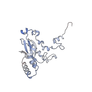 13681_7pwg_N_v1-0
Cryo-EM structure of large subunit of Giardia lamblia ribosome at 2.7 A resolution
