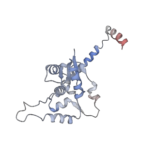 13681_7pwg_O_v1-0
Cryo-EM structure of large subunit of Giardia lamblia ribosome at 2.7 A resolution