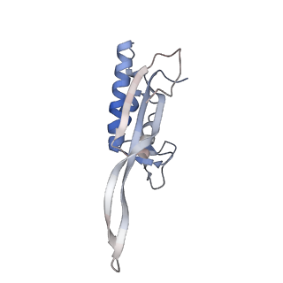 13681_7pwg_P_v1-0
Cryo-EM structure of large subunit of Giardia lamblia ribosome at 2.7 A resolution