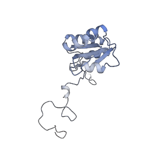 13681_7pwg_Q_v1-0
Cryo-EM structure of large subunit of Giardia lamblia ribosome at 2.7 A resolution
