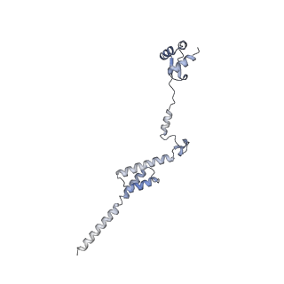 13681_7pwg_R_v1-0
Cryo-EM structure of large subunit of Giardia lamblia ribosome at 2.7 A resolution