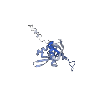 13681_7pwg_S_v1-0
Cryo-EM structure of large subunit of Giardia lamblia ribosome at 2.7 A resolution