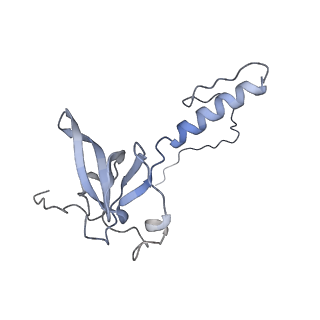 13681_7pwg_T_v1-0
Cryo-EM structure of large subunit of Giardia lamblia ribosome at 2.7 A resolution