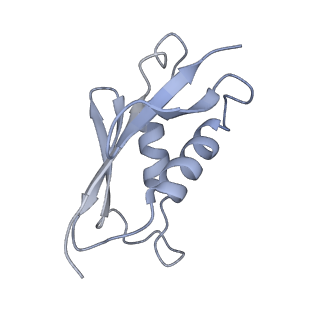 13681_7pwg_U_v1-0
Cryo-EM structure of large subunit of Giardia lamblia ribosome at 2.7 A resolution