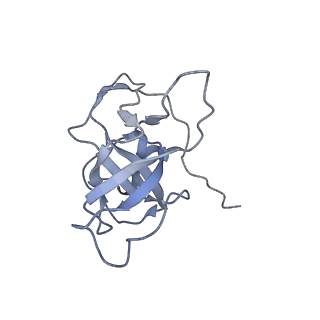 13681_7pwg_V_v1-0
Cryo-EM structure of large subunit of Giardia lamblia ribosome at 2.7 A resolution