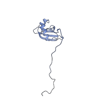 13681_7pwg_X_v1-0
Cryo-EM structure of large subunit of Giardia lamblia ribosome at 2.7 A resolution
