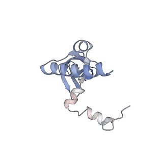 13681_7pwg_Y_v1-0
Cryo-EM structure of large subunit of Giardia lamblia ribosome at 2.7 A resolution