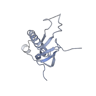 13681_7pwg_Z_v1-0
Cryo-EM structure of large subunit of Giardia lamblia ribosome at 2.7 A resolution