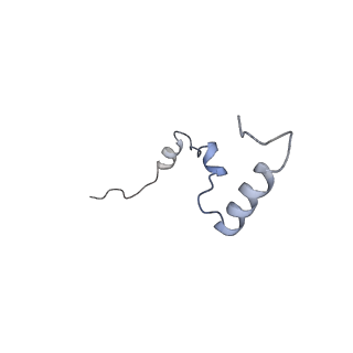 13681_7pwg_b_v1-0
Cryo-EM structure of large subunit of Giardia lamblia ribosome at 2.7 A resolution
