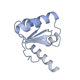 13681_7pwg_c_v1-0
Cryo-EM structure of large subunit of Giardia lamblia ribosome at 2.7 A resolution