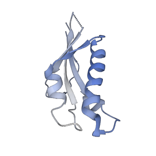 13681_7pwg_d_v1-0
Cryo-EM structure of large subunit of Giardia lamblia ribosome at 2.7 A resolution