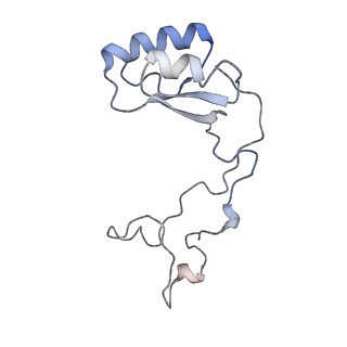 13681_7pwg_e_v1-0
Cryo-EM structure of large subunit of Giardia lamblia ribosome at 2.7 A resolution