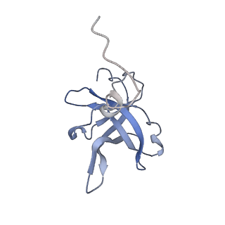 13681_7pwg_f_v1-0
Cryo-EM structure of large subunit of Giardia lamblia ribosome at 2.7 A resolution