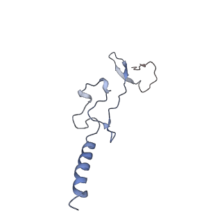 13681_7pwg_g_v1-0
Cryo-EM structure of large subunit of Giardia lamblia ribosome at 2.7 A resolution