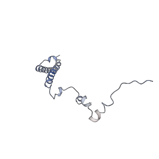 13681_7pwg_h_v1-0
Cryo-EM structure of large subunit of Giardia lamblia ribosome at 2.7 A resolution