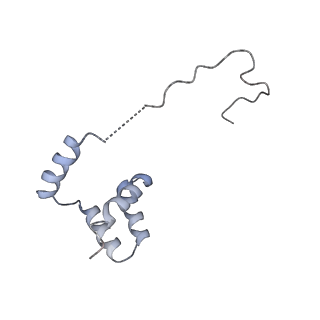 13681_7pwg_i_v1-0
Cryo-EM structure of large subunit of Giardia lamblia ribosome at 2.7 A resolution