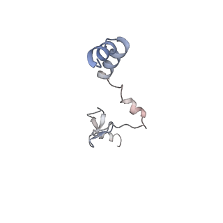 13681_7pwg_j_v1-0
Cryo-EM structure of large subunit of Giardia lamblia ribosome at 2.7 A resolution