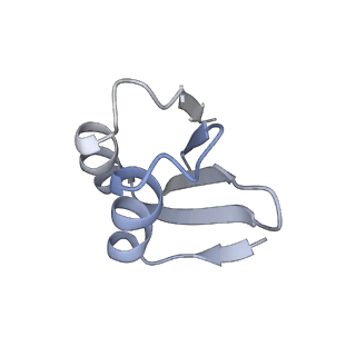13681_7pwg_k_v1-0
Cryo-EM structure of large subunit of Giardia lamblia ribosome at 2.7 A resolution