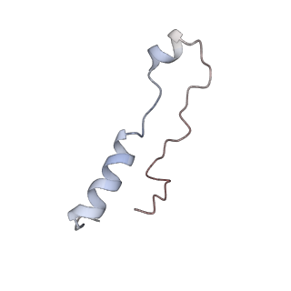 13681_7pwg_l_v1-0
Cryo-EM structure of large subunit of Giardia lamblia ribosome at 2.7 A resolution